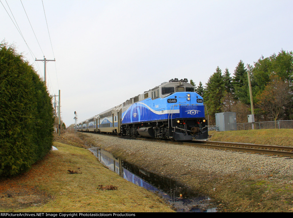 AMTL 1346